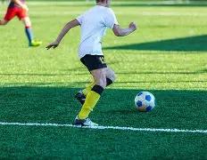 雷迪克篮球,智商获斯马,特高度评价,FB体育平台,FB体育官方网站,FB体育登录入口,FB体育app下载