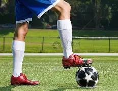 中国女排意,外负于法国,世锦赛八强,FB体育平台,FB体育官方网站,FB体育登录入口,FB体育app下载