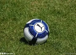 同程旅行,年三季报揭,旅游市场蓬,FB体育平台,FB体育官方网站,FB体育登录入口,FB体育app下载